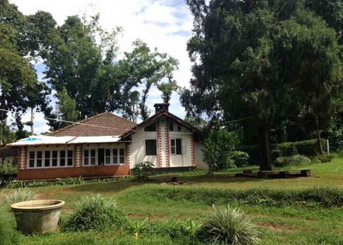 Hillyside Estate Homestay, Madikeri 5